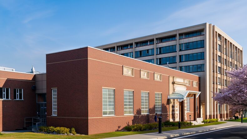 石家莊國際學(xué)校有哪些