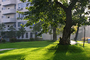 電子科技大學(xué)國際課程中心校園環(huán)境