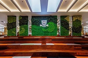 北京市朝陽(yáng)區(qū)赫德學(xué)校校園環(huán)境