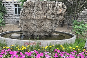 天津奧宇哈珀學(xué)校海納百川