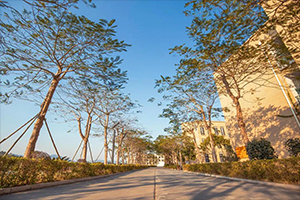 北京師范大學(xué)珠海分校附屬外國(guó)語(yǔ)學(xué)校國(guó)際部校園內(nèi)