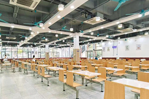 廣東外語外貿(mào)大學國際學院