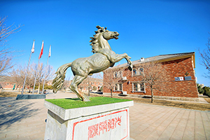 北京青苗國際雙語學(xué)校懷柔國際部