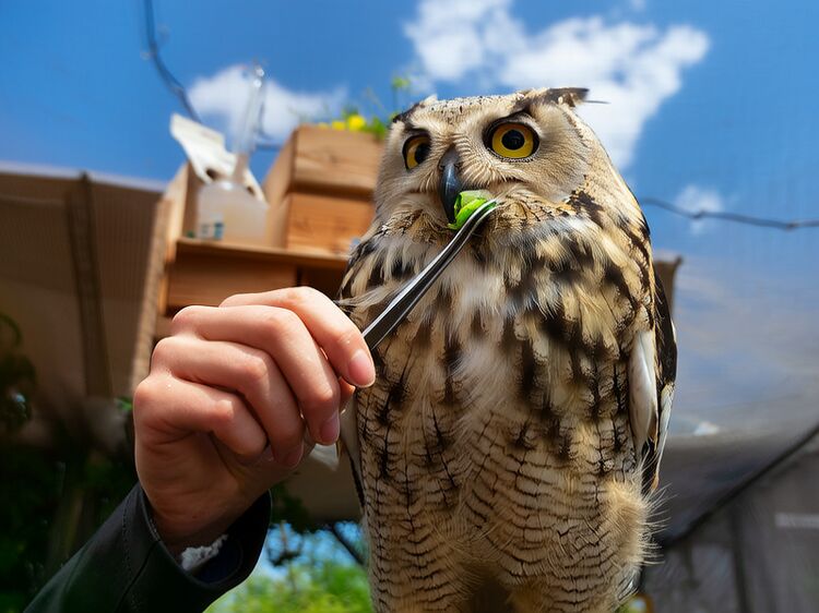 北京世青國(guó)際學(xué)校小學(xué)