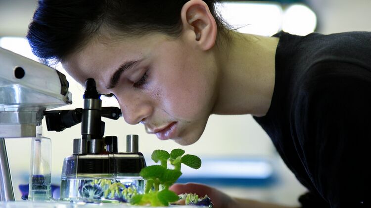 北京正源新亞國際學(xué)校