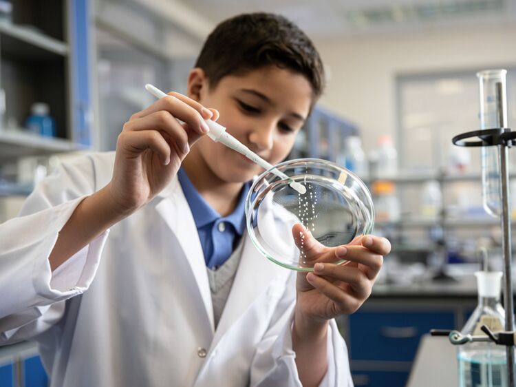 茂名國(guó)際學(xué)校有哪些