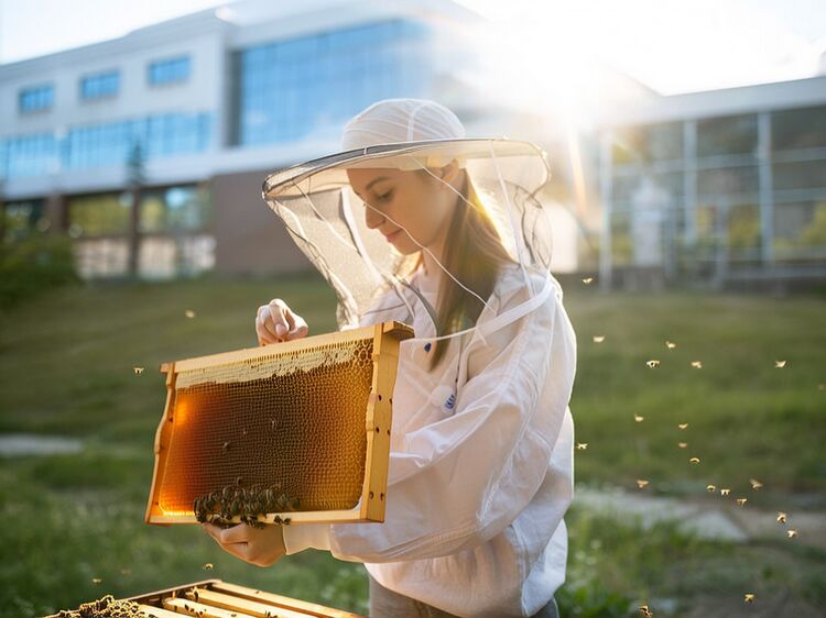 愛莎國(guó)際學(xué)校武漢學(xué)費(fèi)