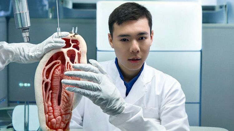 立信國際學(xué)院