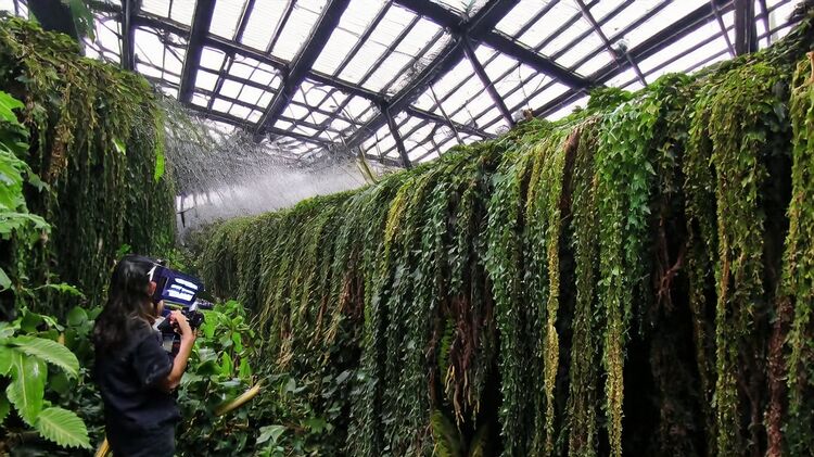 北京市朝陽芳草地國際學校