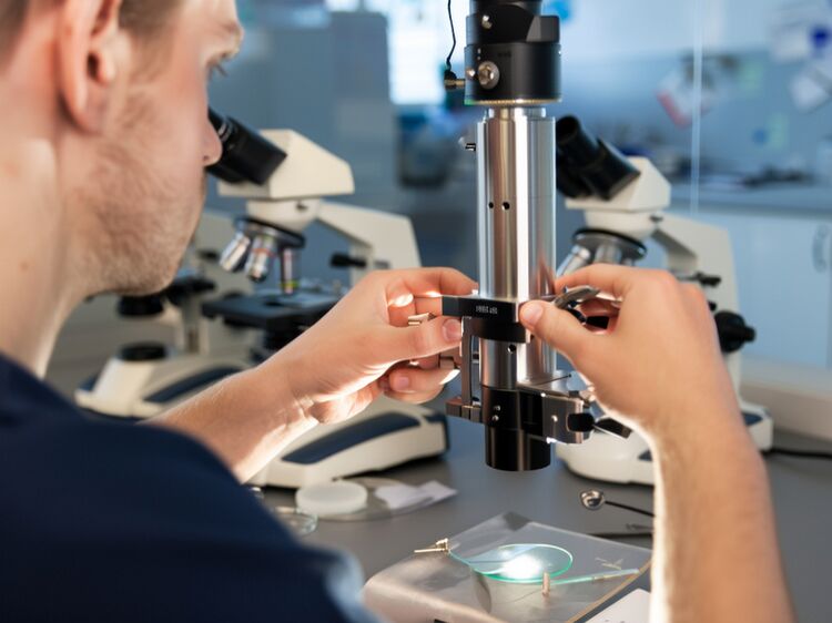 七德國(guó)際學(xué)校