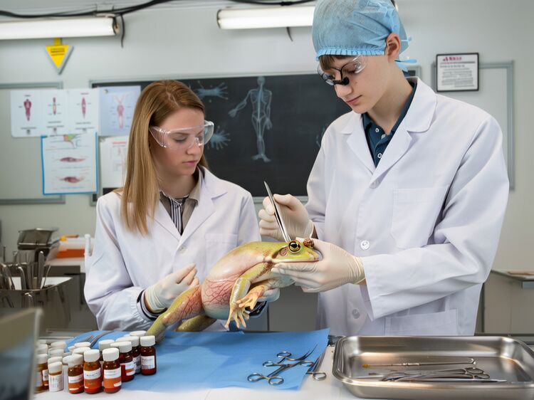 2026北京昌平區(qū)國際高中排名+學(xué)費(fèi)+分?jǐn)?shù)線，家長群瘋傳的擇校清單