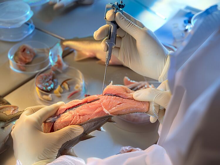 武清私立初中有幾個(gè)