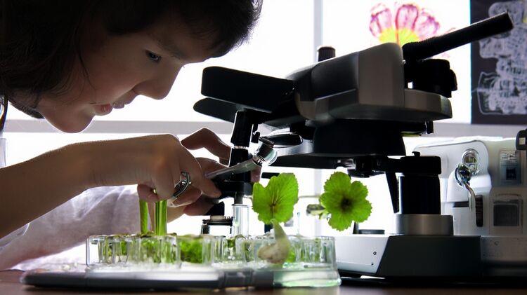 愛(ài)莎國(guó)際學(xué)校網(wǎng)站