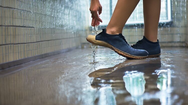 國際招生學(xué)校