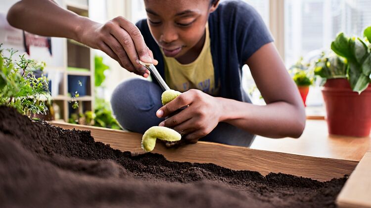 朝陽區(qū)國際部學(xué)校